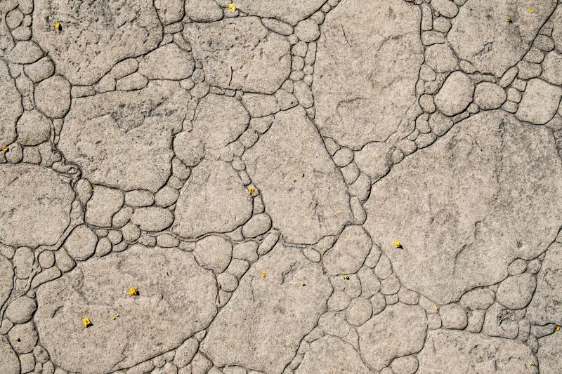 Decorative Concrete Repair in Venice, FL